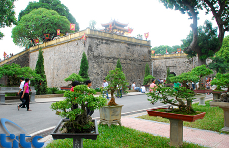 Cité impériale de thang long : futur parc culturel et historique